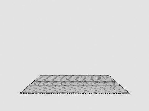 Large Carpet With Tassels Light Beige 3D Model