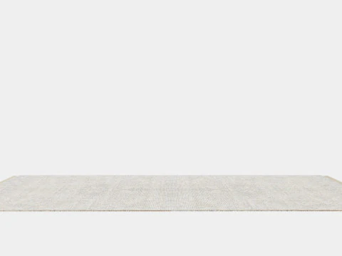 Large Carpet in Jute Mix Beige 3D Model