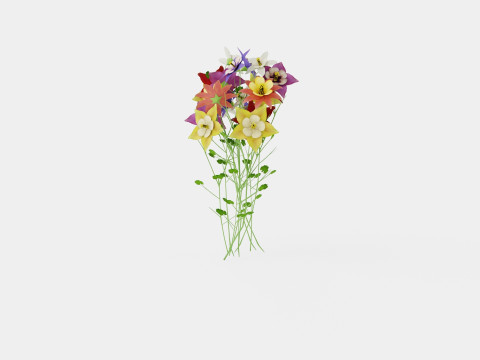 Aquilegia mix Akeleie 3D 模型