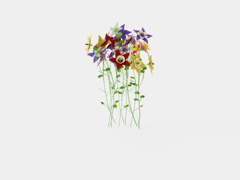 Aquilegia mix Akeleie 3D Model