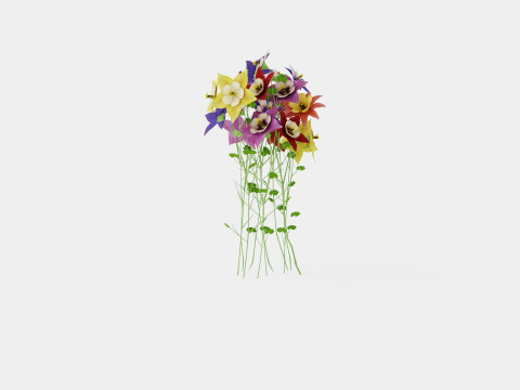 Aquilegia mix Akeleie 3D Model