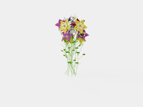 Aquilegia mix Akeleie 3D Model