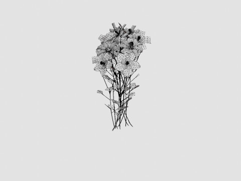 Aquilegia mix Akeleie 3D Model