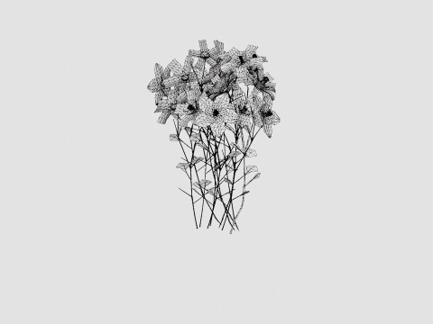 Aquilegia mix Akeleie 3D Model