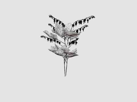 Dicentra spectabilis Loytnantshjerte Model 3D