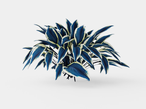 Hosta Blue Ivory Bladlilje Model 3D