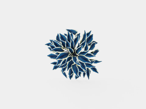 Hosta Blue Ivory Bladlilje Model 3D