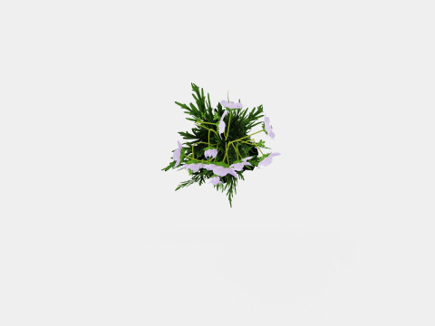 Geranium pratense Akaton Storkenebb Model 3D