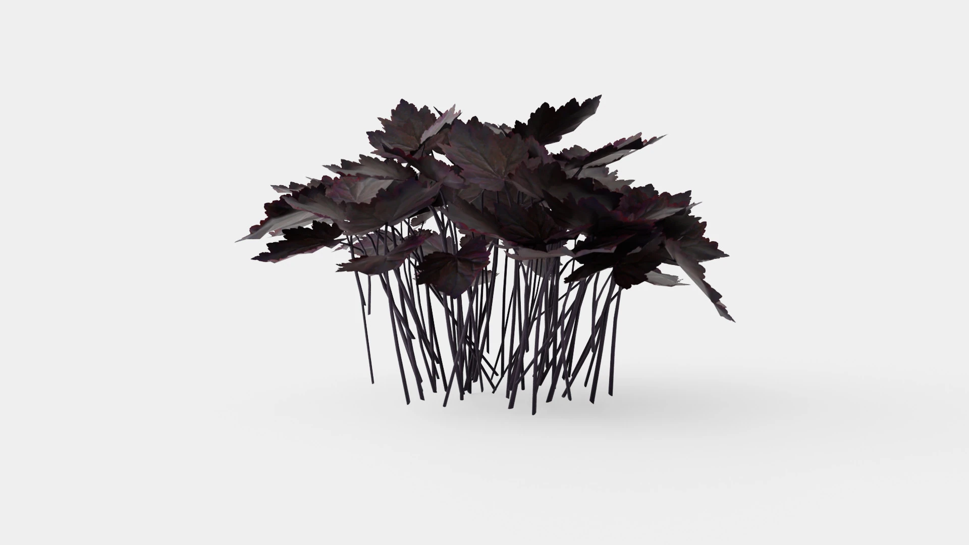Heuchera Palace Purple Marmoralunrot 3D Model .c4d .max .obj .3ds .fbx .stl .blend 