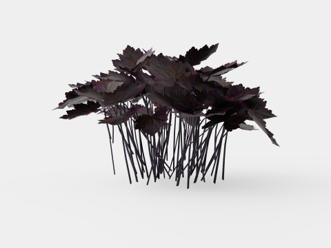 Heuchera Palace Purple Marmoralunrot 3D Model