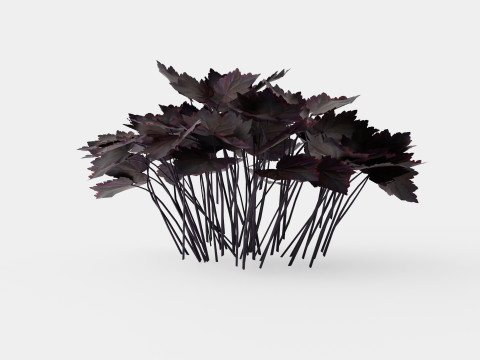 Heuchera Palace Purple Marmoralunrot 3D-Modell