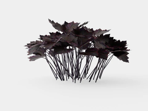 Heuchera Palace Purple Marmoralunrot 3D Model