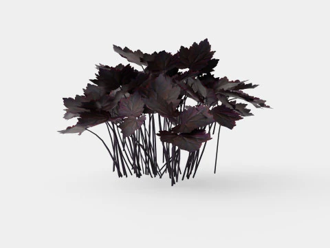 Heuchera Palace Purple Marmoralunrot 3D Model