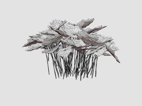 Heuchera Palace Purple Marmoralunrot 3D-Modell