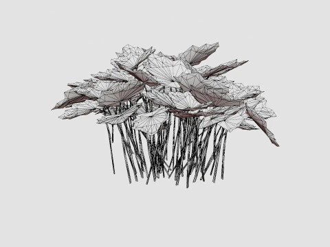 Heuchera Palace Purple Marmoralunrot 3D Model