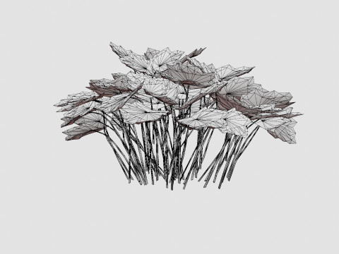 Heuchera Palace Purple Marmoralunrot 3D-Modell