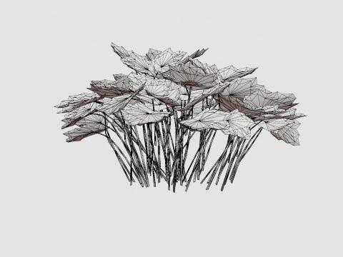 Heuchera Palace Purple Marmoralunrot 3D Model
