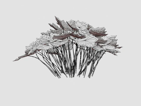 Heuchera Palace Purple Marmoralunrot 3D Model