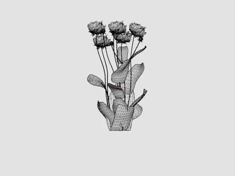 Paeonia lactiflora Sarah Bernhardt Pion or Peon 3D Model