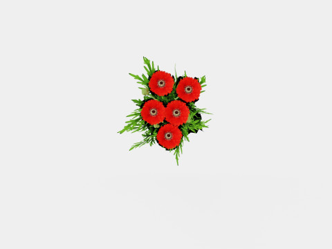 Papaver orientale Turkenlouis Orientvalmue Modèle 3D