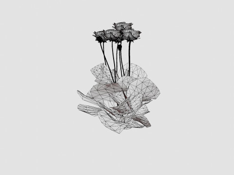 Papaver orientale Turkenlouis Orientvalmue Modèle 3D