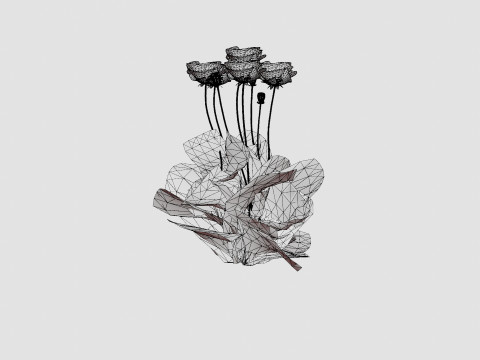 Papaver orientale Turkenlouis Orientvalmue Modèle 3D