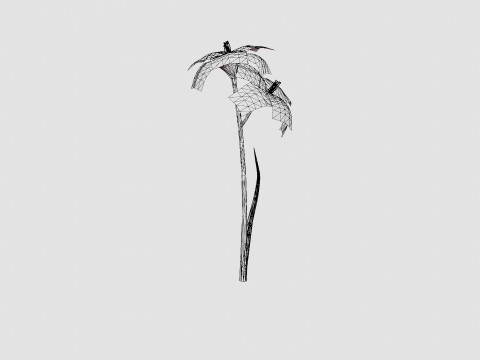 Hemerocallis Bogeyman Daylily 3D Model