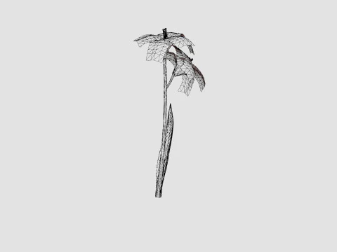 Hemerocallis Bogeyman Daylily 3D Model