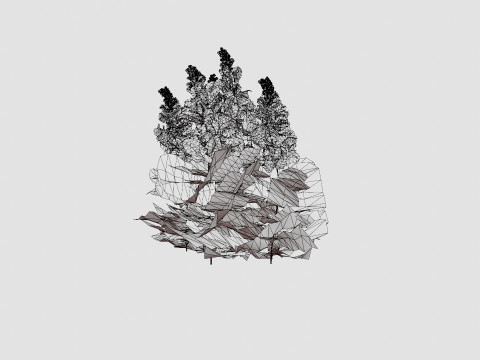 Astilbe x arendsii Spinell Arendsspir Model 3D