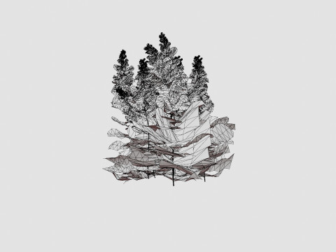 Astilbe x arendsii Spinell Arendsspir Model 3D