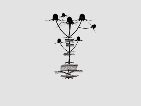 Eryngium alpinum Alpine Sea Holly 3D Model