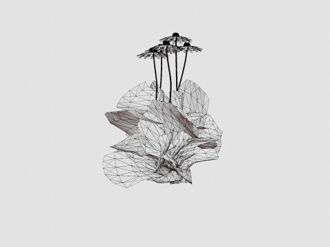 Echinacea purpurea Solhatt Modelo 3D