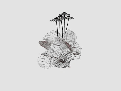 Echinacea purpurea Solhatt 3D Model