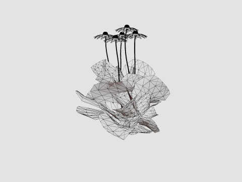 Echinacea purpurea Solhatt Modelo 3D