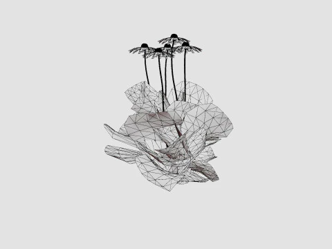 Echinacea purpurea Solhatt 3D Model