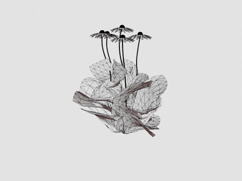 Echinacea purpurea Solhatt Modelo 3D
