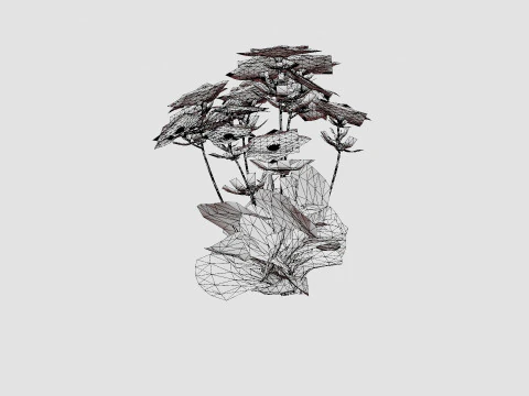 Aster dumosus Jenny Bush Aster 3D Model