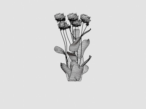 Paeonia lactiflora Karl Rosenfield Pion or Peon Modèle 3D
