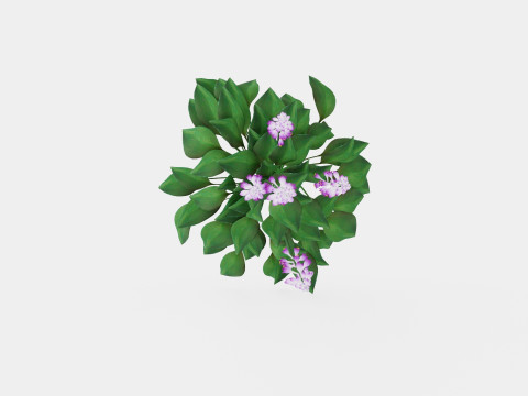 Hosta Blue Mouse Ears Bladlilje Modelo 3D