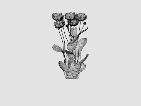 Paeonia lactiflora Hawaiian Coral Pion or Peon 3D Model