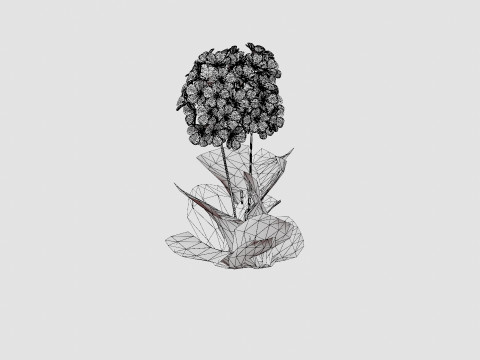 Phlox paniculata Swizzle Blue Modelo 3D