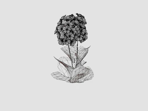 Phlox paniculata Swizzle Blue 3D Model