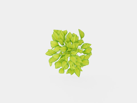 Hosta Stained Glass Bladlilje 3D मॉडल