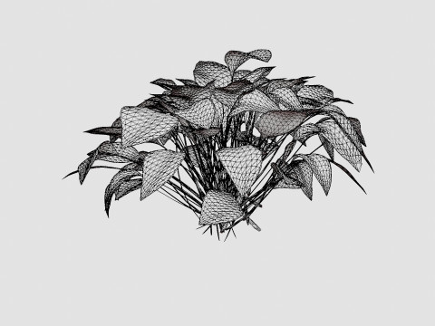 Hosta Stained Glass Bladlilje 3D मॉडल