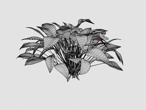 Hosta Stained Glass Bladlilje 3D मॉडल