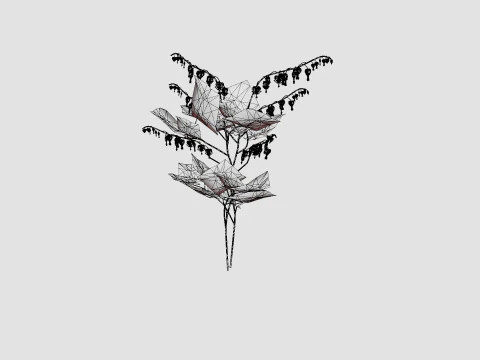Dicentra spectabilis Alba Loytnantshjerte 3D Model