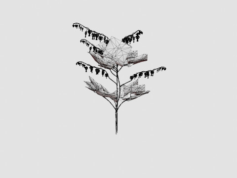 Dicentra spectabilis Alba Loytnantshjerte 3D मॉडल