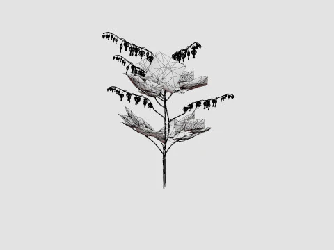Dicentra spectabilis Alba Loytnantshjerte 3D Model