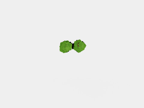 Alcea rosea Nigra Stokkrose 3D Model