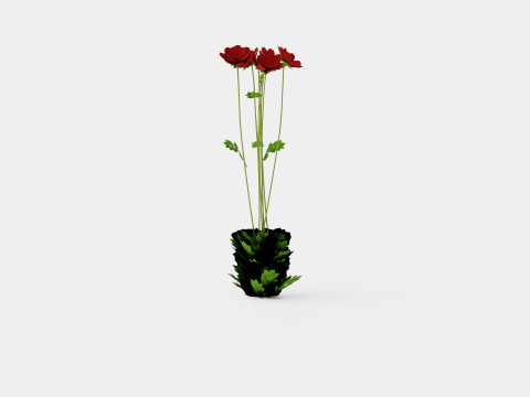 Chocolate Cosmos Atrosanguineus 3D Model